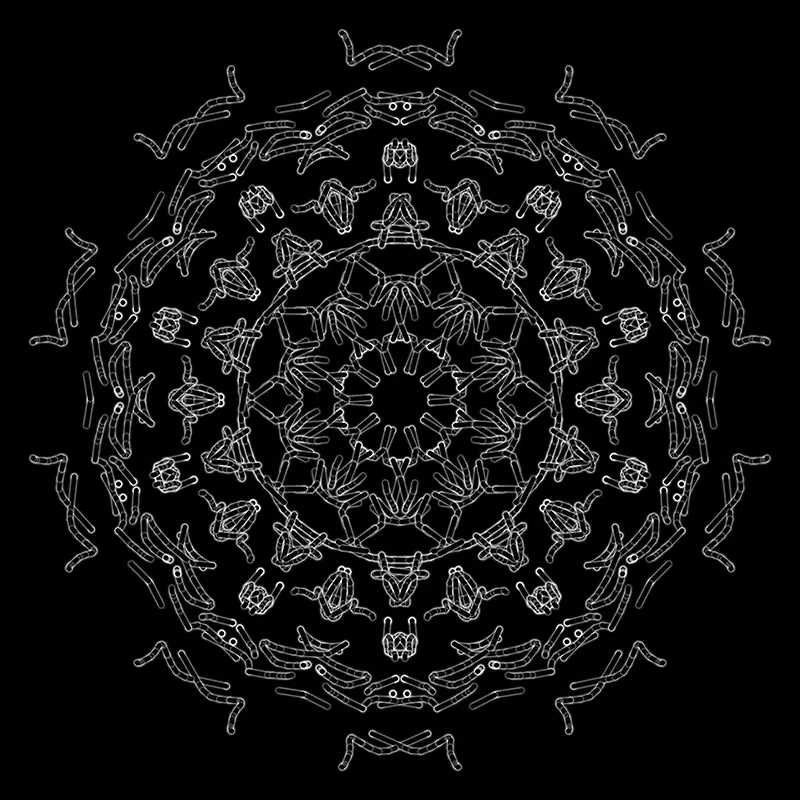 disegno mandala-05