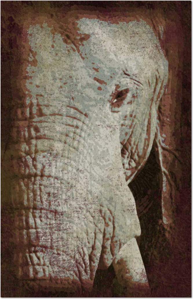disegno grunge elefante-01