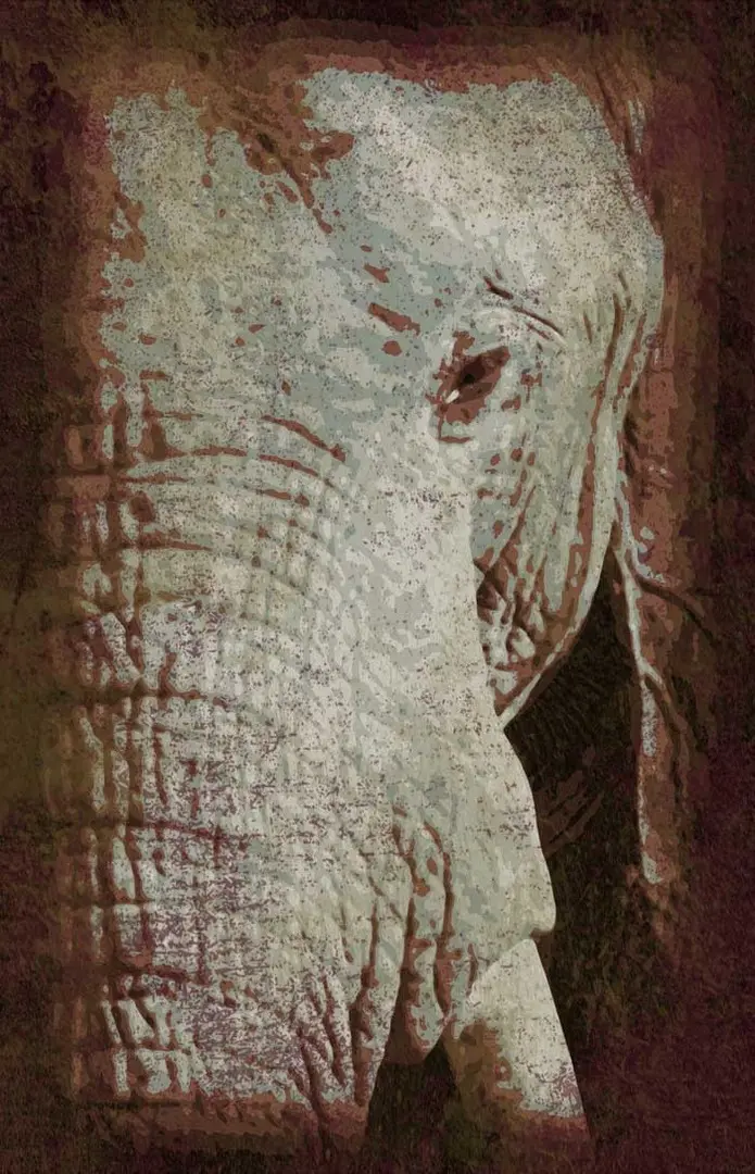 disegno grunge elefante-01