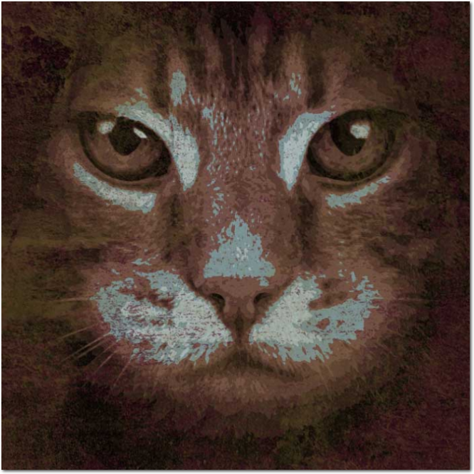 disegno grunge gatto-001