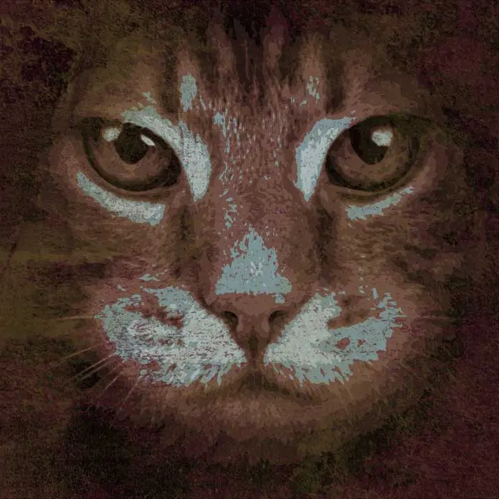 disegno grunge gatto-001