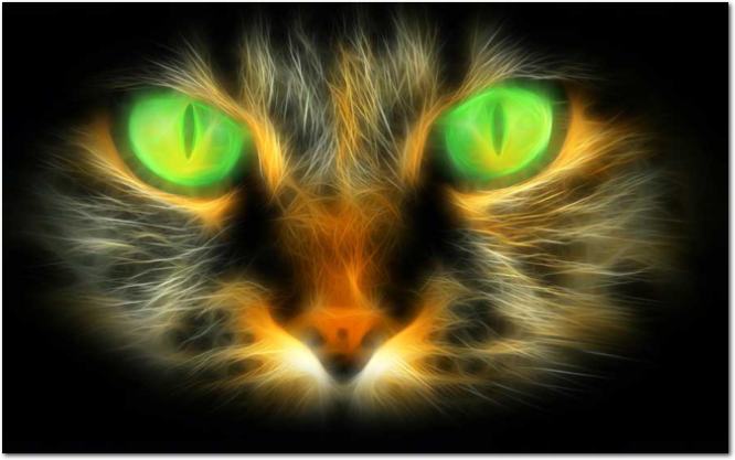 disegno flame gatto-01