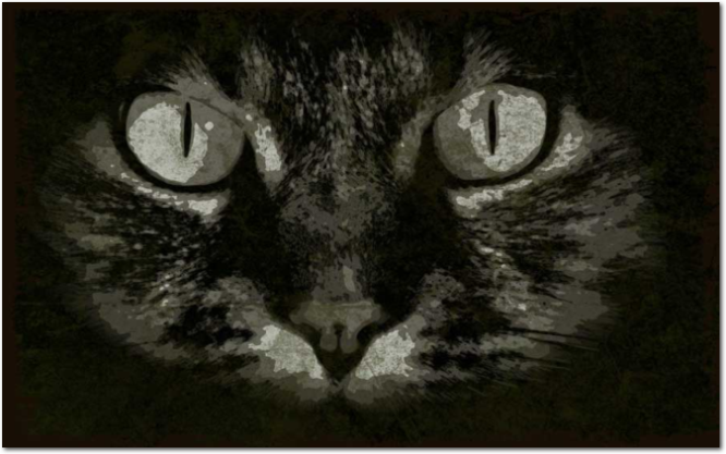 disegno grunge gatto-02