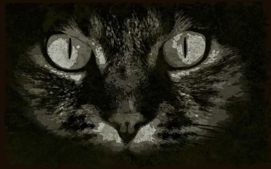 disegno grunge gatto-02