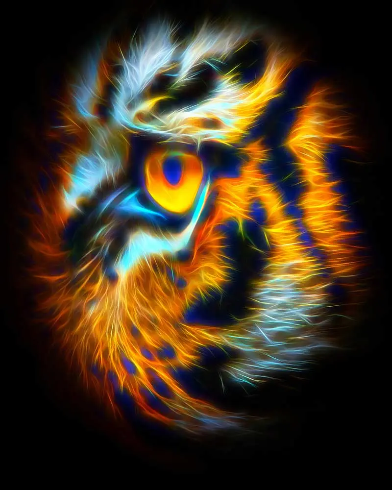 disegno flame tigre-01