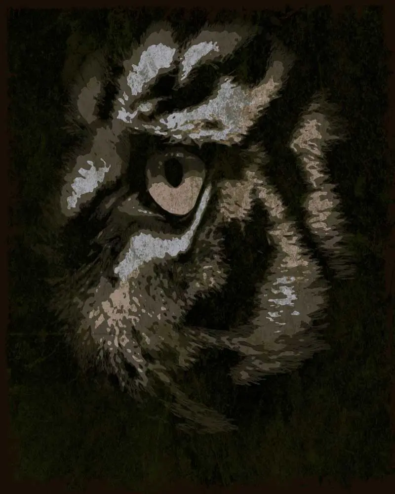 disegno grunge tigre-02
